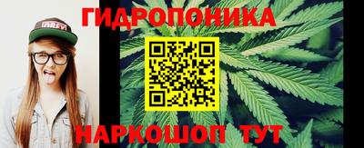 прущие крисы Татарск